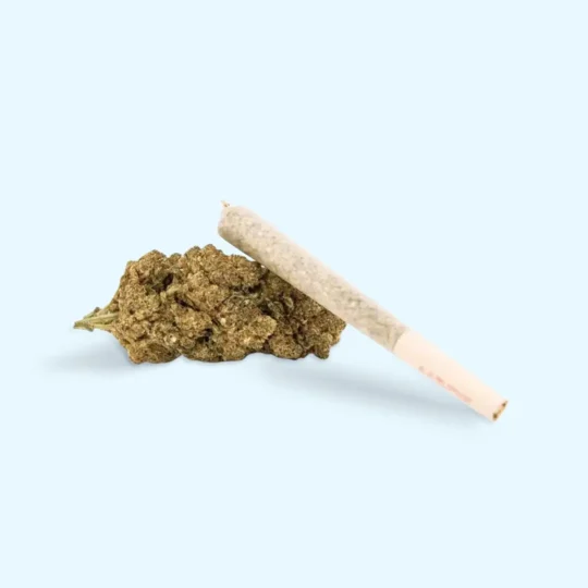 High Life Preroll THCNM - Produktbild