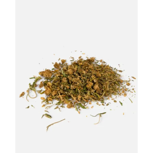 Hackad CBG-hampa: Santhica 70