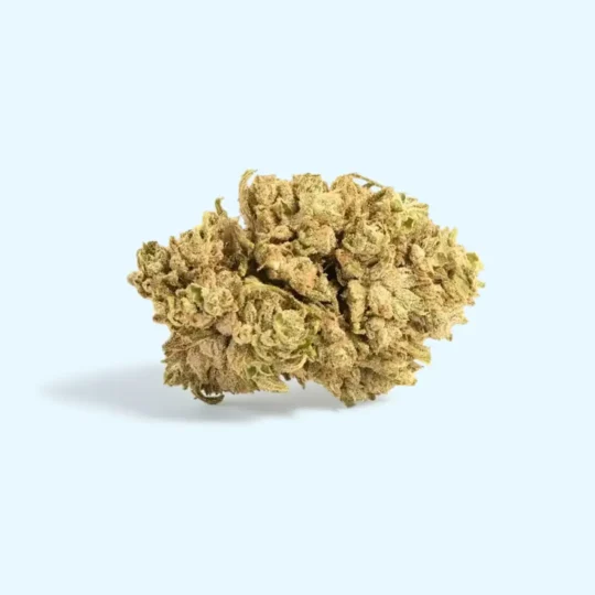 CBG Buds 14% - Produktbild