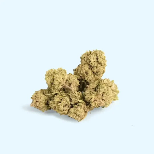 CBG Buds 14% - Bild 2