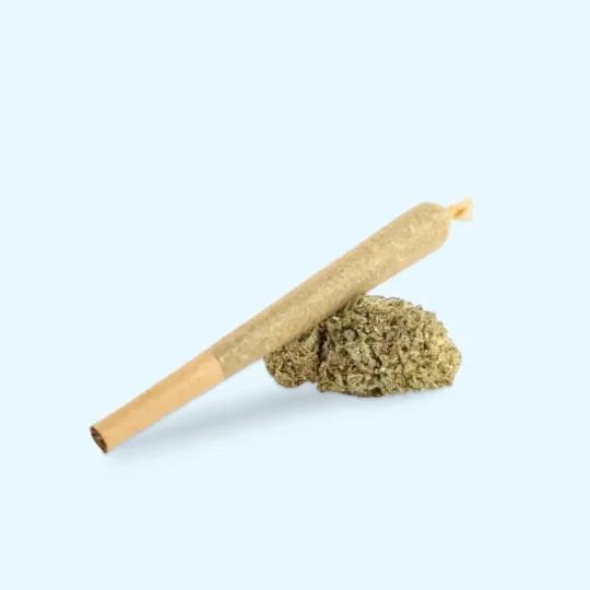 Super Skunk Preroll THCX 20% THCA 10% - Produktbild